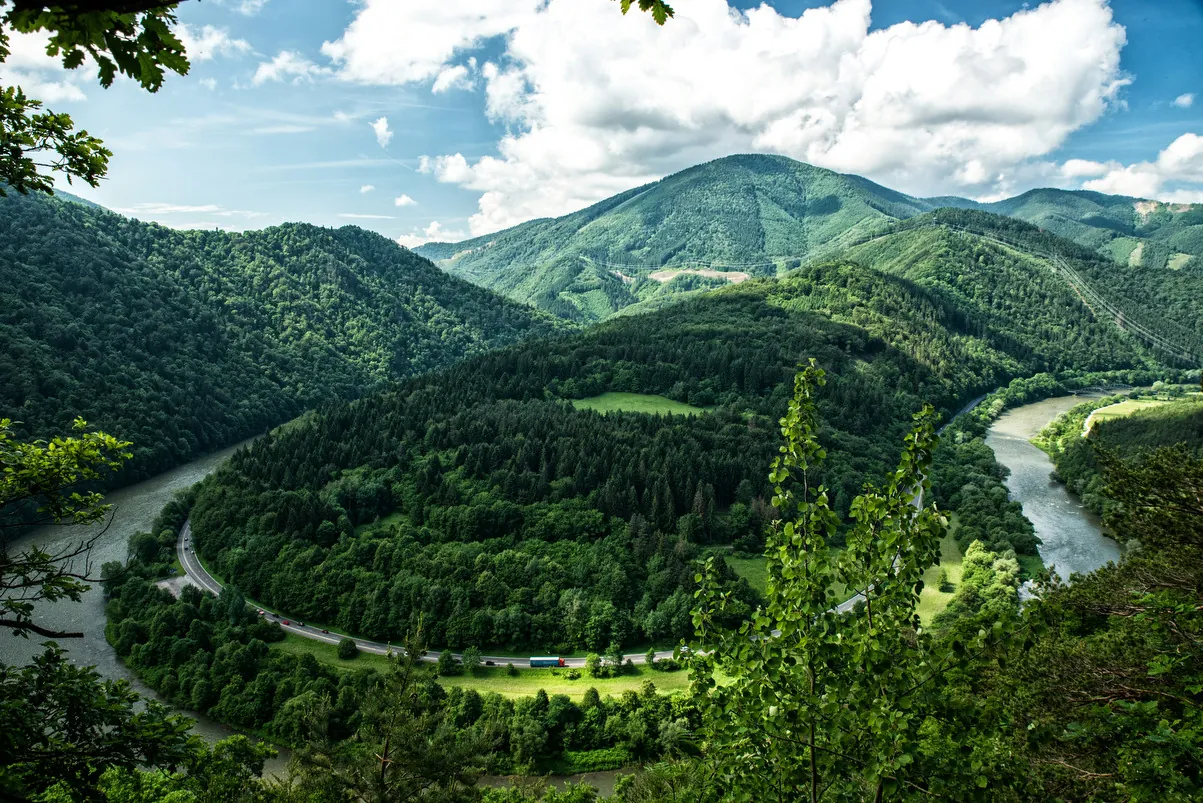 Montagnes boisées sous un ciel d’été